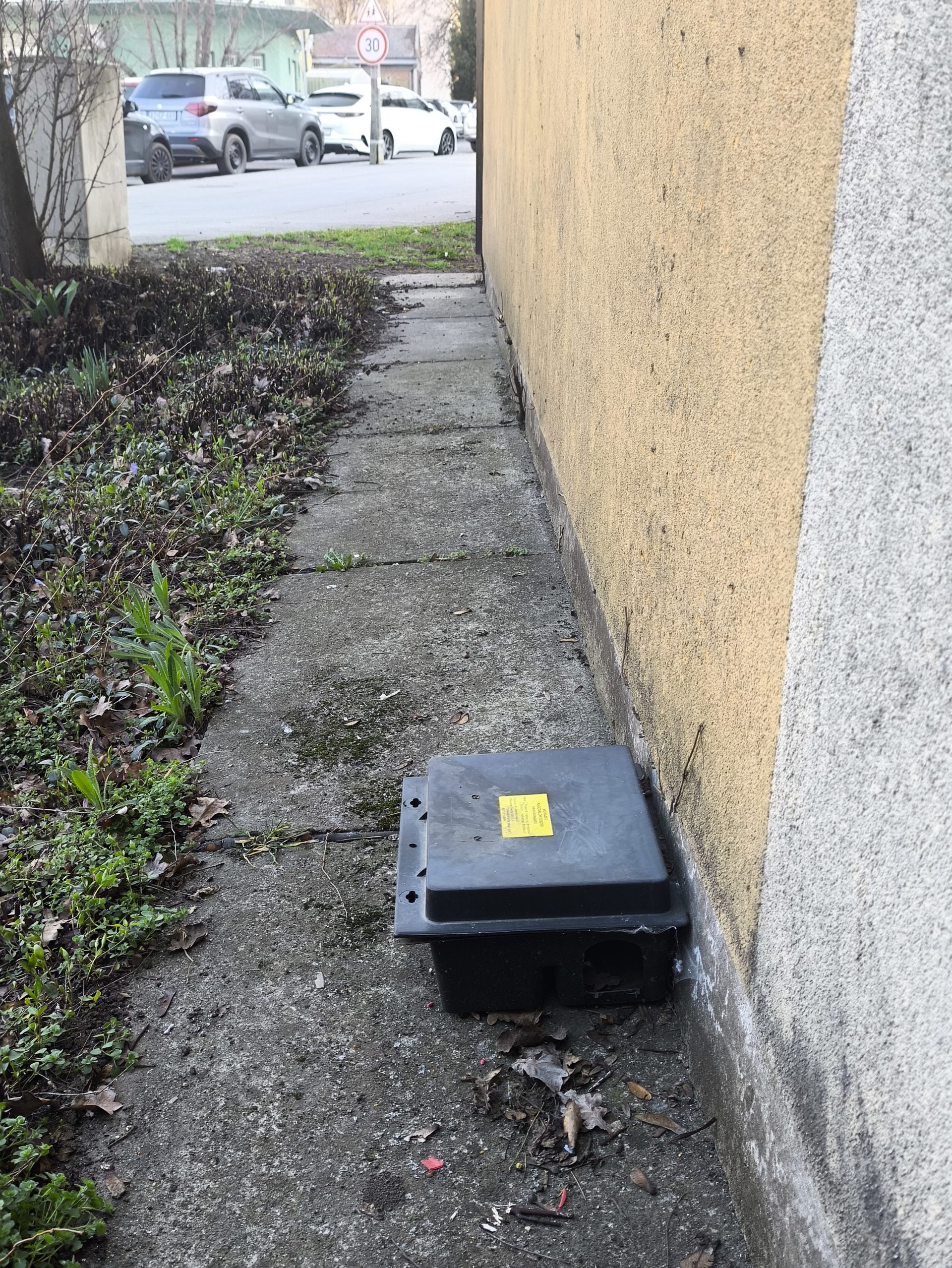 Udvari kiszolgáló terület és hulladéktároló környezet patkányproblémával Budapesten