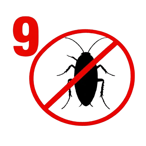 Csótányirtás 9. kerület
