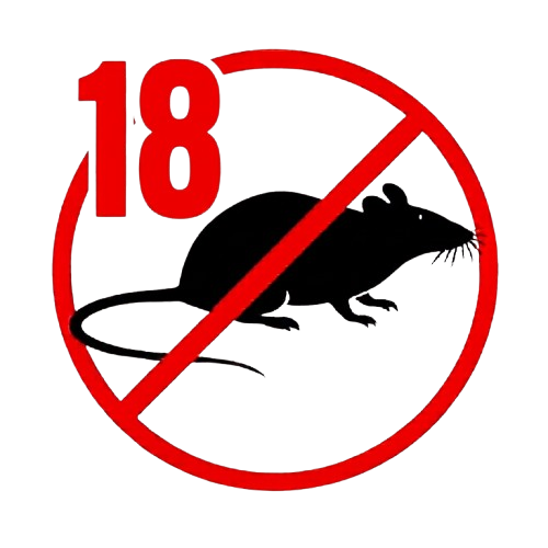 Patkányirtás 18. kerület