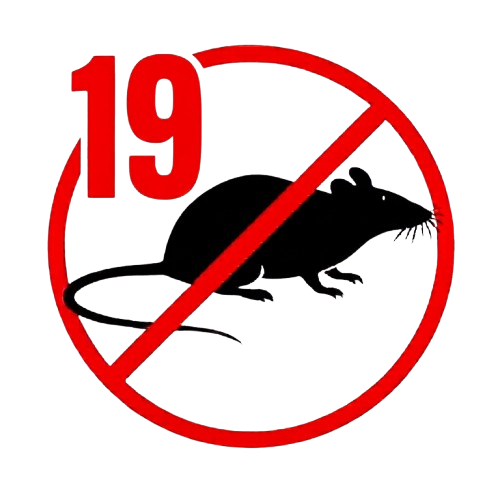 Patkányirtás 19. kerület