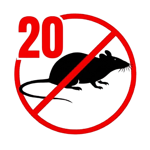 Patkányirtás 20. kerület