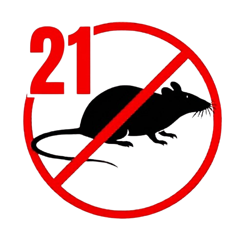 Patkányirtás 21. kerület