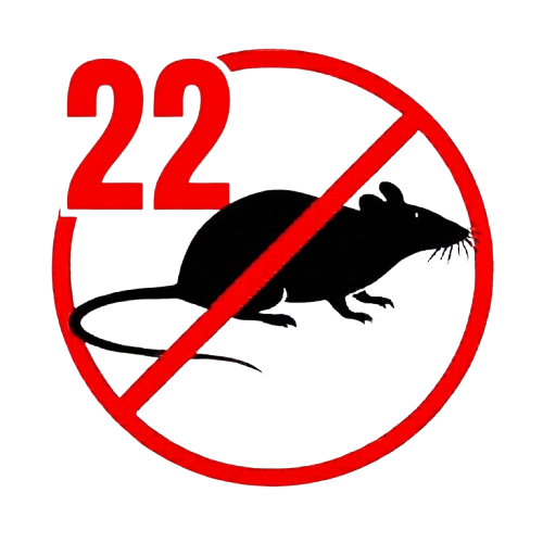 Patkányirtás 22. kerület